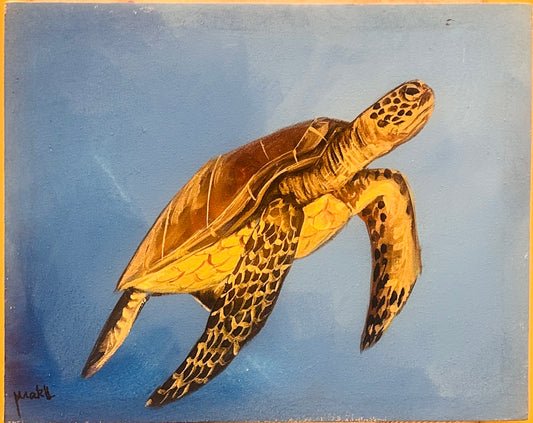 Tableau Tortue sur sable